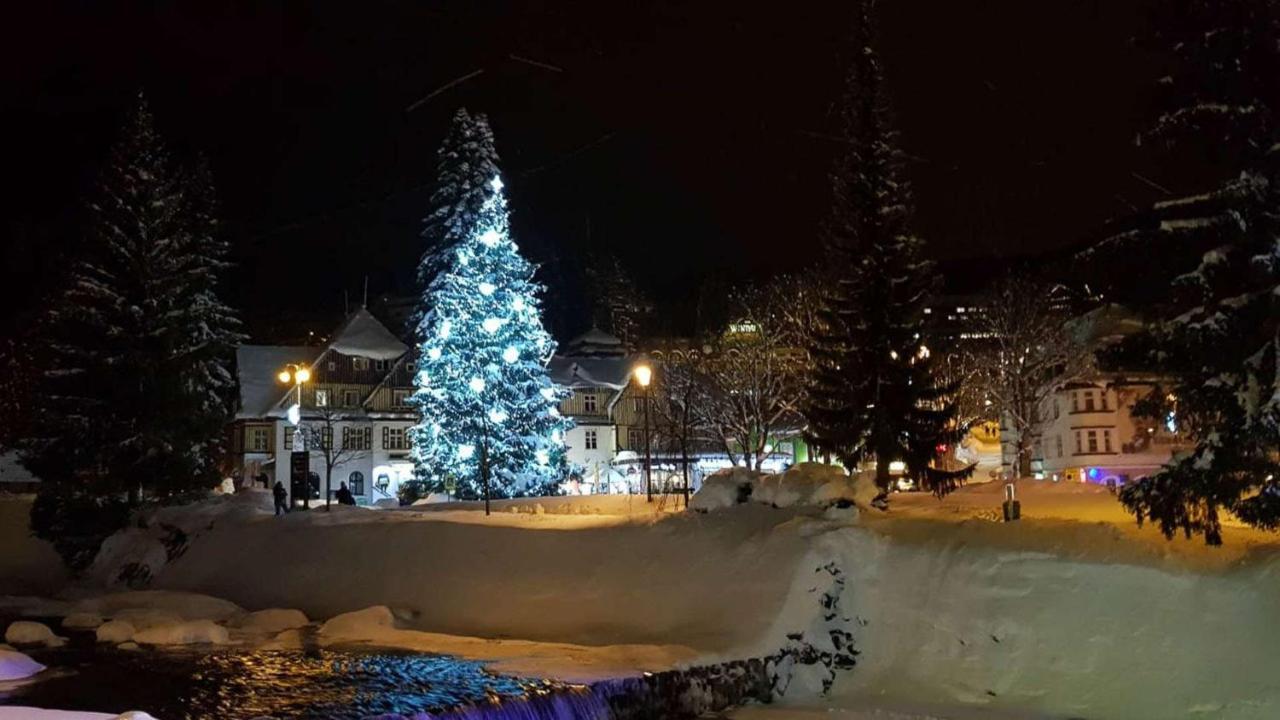 Apartman Medvedin 110 Špindlerŭv Mlýn Dış mekan fotoğraf