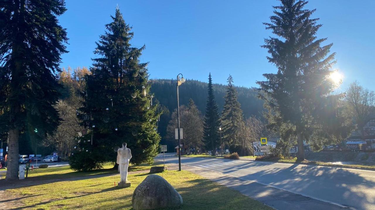 Apartman Medvedin 110 Špindlerŭv Mlýn Dış mekan fotoğraf